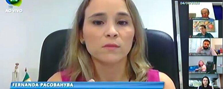 Secretária da Fazenda do Ceará traça cenário de perdas na arrecadação a deputados estaduais durante sessão virtual