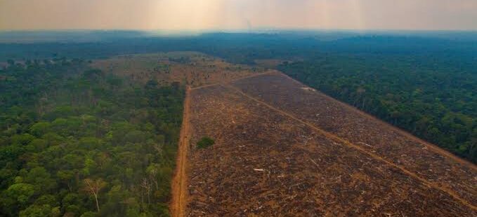 Rodrigo Maia aponta desmonte ambiental do Governo Federal e alerta para “impacto suicida”