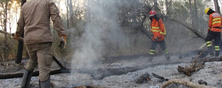 Investigação da Polícia Federal aponta que incêndios no Pantanal partiram de pelo menos quatro fazendas de Mato Grosso do Sul