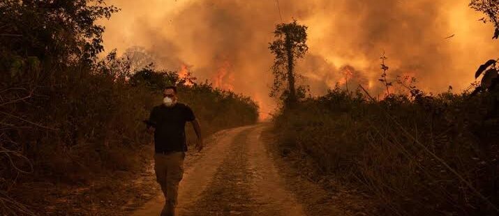 Sem repasse de dinheiro, Ibama suspende ações de combate às queimadas e incêndios