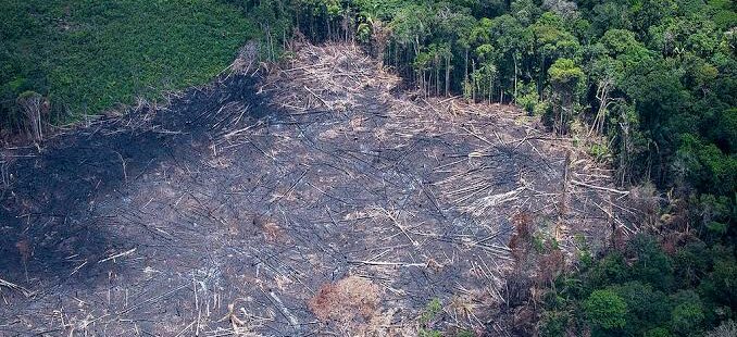 Chefe da PF no Amazonas é substituído após pedir investigação de Ricardo Salles por crimes ambientais