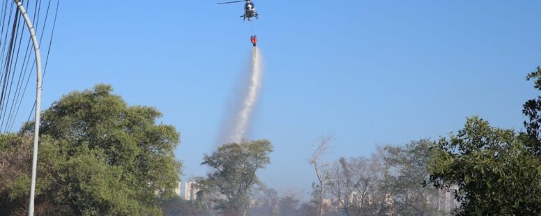 Governo Estadual inicia investigação sobre indícios de incêndio criminoso no Parque do Cocó