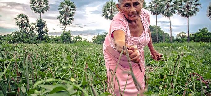 Governo do Ceará vai anunciar novos investimentos para setor rural no Dia de São José