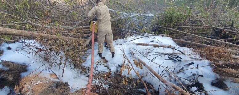 Governo do Estado confirma que incêndio no Parque Estadual do Cocó está controlado