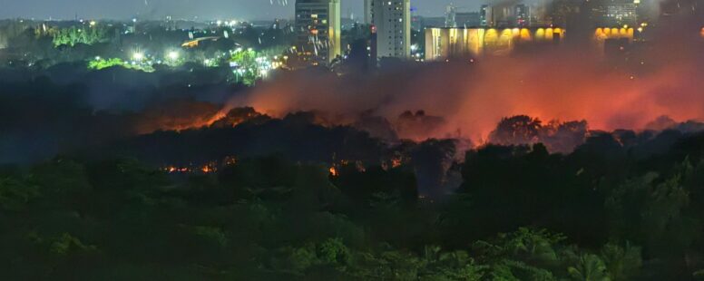 Madrugada foi de combate aos focos de incêndio no Cocó. Governo Estadual promete apurar as causas