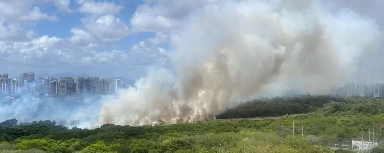 Incêndio em vegetação do Parque do Cocó espalha fumaça por vários bairros de Fortaleza