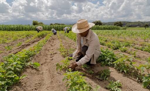 No Dia de São José, Elmano de Freitas anuncia pacote de investimentos para o desenvolvimento rural