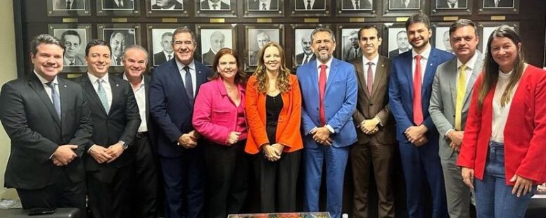 Governador Elmano de Freitas e deputados federais e estaduais do Ceará cobram em Brasília melhorias no serviço da Enel