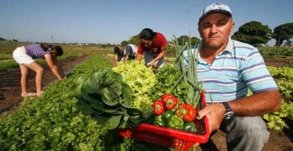 Ceará assina contrato de R$ 250 milhões com BNDES para financiamento de projetos em apoio à agricultura familiar