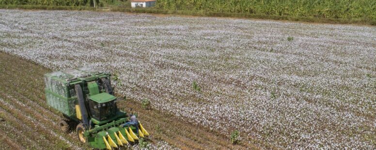 Governo do Ceará lança Plano Safra com financiamento para agricultura familiar de até R$ 1,8 bilhão de reais