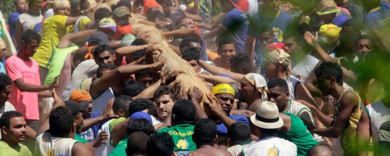 Corte do pau da bandeira da Festa de Santos Antônio, em Barbalha, acontece nesta sexta-feira