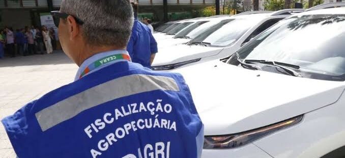 Primeiros aprovados em concurso da Adagri são convocados pelo Governo do Estado