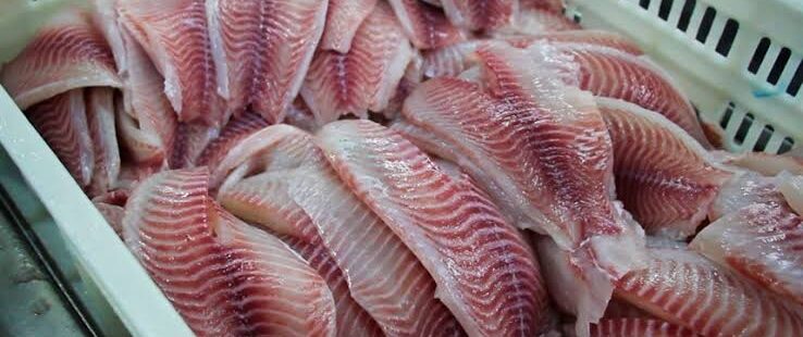 Taxados por Trump, peixes e frutos do mar cearenses podem ser comprados pelo Governo Federal, diz ministro Márcio França