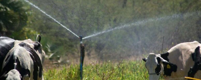 PIB cearense cresce 3,86% no 2º trimestre de 2025 incentivado pela agropecuária e supera índice nacional