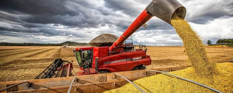 China suspende compras de soja dos EUA e amplia mercado com Brasil. Trump cogita retaliação comercial contra chineses