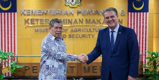 Brasil retoma exportações de frango para a Malásia e abre seis novos mercados para o agronegócio brasileiro