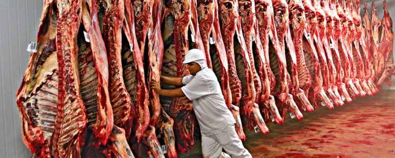 Apesar do tarifaço de Trump, exportação de carne bovina do Brasil bate novo recorde em setembro