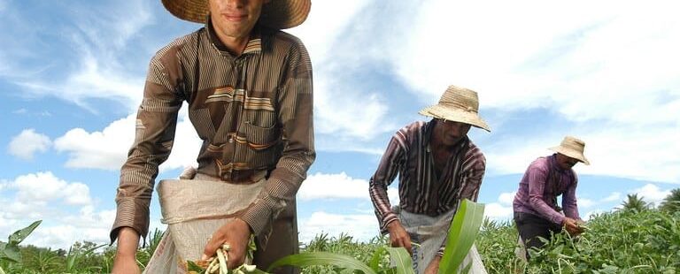 Com benefício a 195 mil agricultores, municípios cearenses assinam adesão ao Programa Garantia Safra 25/26