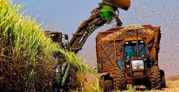 EUA iniciam “tarifaço” de 25% contra produtos do Brasil nesta quarta-feira. Planalto e empresários descartam retaliação e focam em diálogo